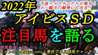 【注目馬を語る】2022アイビスサマーダッシュ！ヴィンセント・ホー騎手参戦！千直マイスター揃いの1戦に！