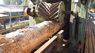 Extremely Fast Wood Cutting Machine || Amazing Automatic Wood Sawmill Machines of Today's Technology