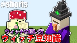 ウィッチの使い方はこれです!!!!!!!【マイクラ】