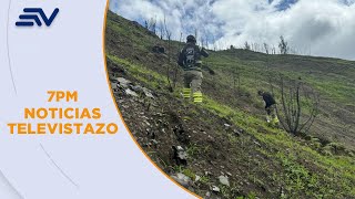 Estudiantes y organizaciones civiles de Quito y Loja reforestaron zonas afectadas | Televistazo