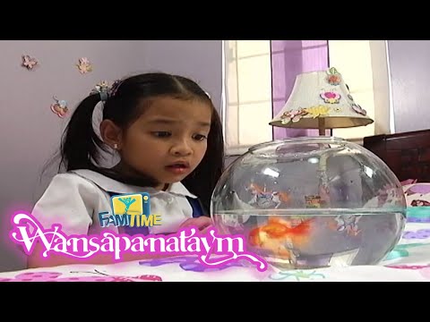 Si Pam Pabaya at ang Mahiwagang Gold Fish Highlights Wansapanataym FamTime