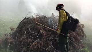 PIle Burning in Palisades