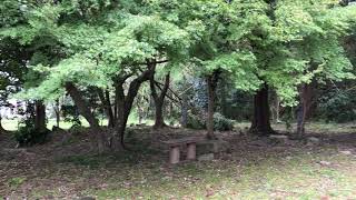 No.46-①_城跡巡り 寺部城址(愛知県豊田市)