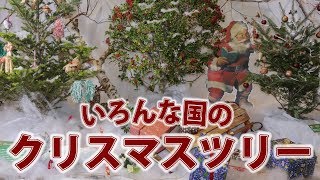 ハワイのクリスマス？「いろんな国のクリスマスツリー紹介！」～咲くやこの花館～