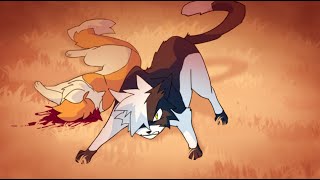 Swiftpaw AMV - In The End