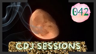 CDJ Sessions FULL PSYTRANCE TAKEOVER 042