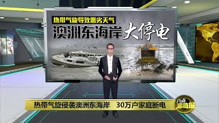 热带气旋肆虐澳洲东海岸   30万户家庭断电  | 八点最热报 09/03/2025