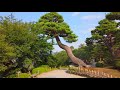 4k virtual tour kenrokuen garden in kanazawa beautiful japanese garden 金沢 兼六園