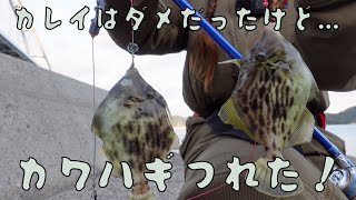 【投げ釣り】【海釣り】秋のカレイ釣りは難しかったです〜！