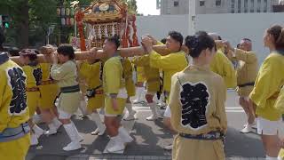 川崎　稲毛神社　山王祭　町内御輿連合渡御　2024/08/3  b17