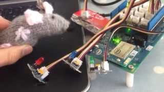 Hardware Project: Mouse Detector (with Light Sensor and LEDs + Intel Edison, Arduino, NodeJS)