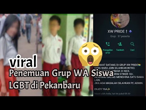 Viral! Penemuan Grup WA Siswa LGBT Di Pekanbaru, KemenPPPA Beri ...