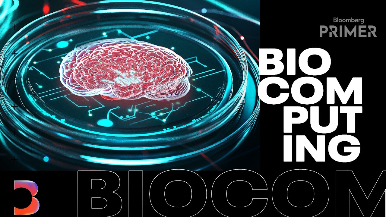 Here S How Biocomputing Works And Matters For Ai Bloomberg Primer