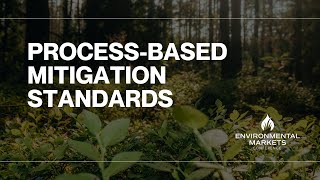 Process-Based Mitigation Standards: Environmental Expert Insights