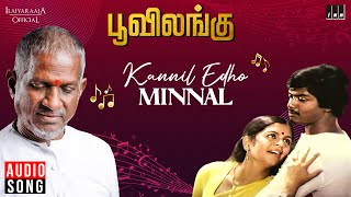 Kannil Edho Minnal Song | Poovilangu Movie | Ilaiyaraaja | Murali | Kuyili | K J Yesudas | S Janaki