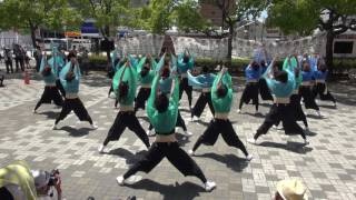 長野県看護大学よさこいサークル鼓魂（犬山踊芸祭2017）からくり会場