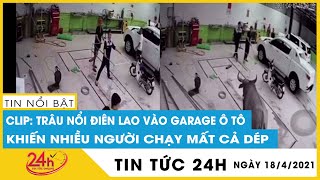 Trâu nổi điên lao vào garage ô tô ở Thái Nguyên "cà khịa" khiến nhiều người chạy mất cả dép | TV24h