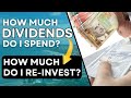 My 1.7 Million Dollar Dividend Income Portfolio: How Much do I Use? How much do I Reinvest?