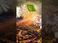 Pakistan Independence Day status #shorts #shortsvideo #youtubeshorts #shortsfeed #shortvideoviral