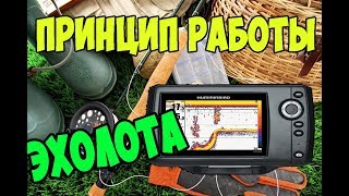 Принцип работы эхолота