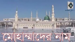 তাওহীদের ই মুর্শিদ আমার মোহাম্মাদ এর নাম | Tawhider e Murshid Amar | gojol | Bangla Tafseerul Quran