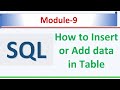 How to Insert data in Table  | Microsoft SQL Server 2022 | SQL Module 9