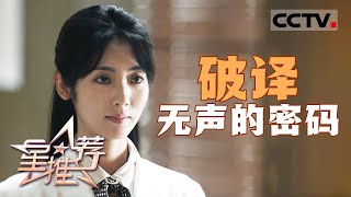 《星推荐》《暗夜与黎明》中睿智又勇敢的法医金妍 20240923【CCTV电视剧】