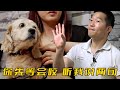 可卡犬差點咬掉主人耳朵，訓犬師卻說不是狗的問題，原因讓人意外