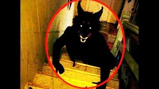 Niali Ghost Attack Cought on CCTV Real Images || Mysterious Animal Found at cuttack niali Odisha