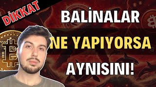 Balinalar Ne Yapıyorsa Aynısını Yapıyorum (Bitcoin Altcoin Genel Borsa Analizi)