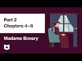 Madame Bovary by Gustave Flaubert | Part 2, Chapters 4–6