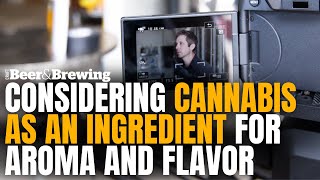 [Brewing Tip] Considering Cannabis as an Ingredient for Aroma and Flavor