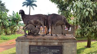 Ensibuko y'ekisoko nti 'Ebule n'e Bweya'