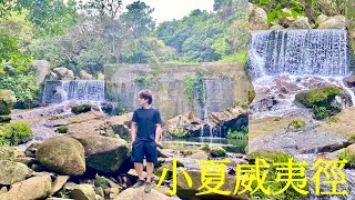 🌴【小夏威夷徑】🌴｜輕鬆路線｜有小瀑布又可以玩溯澗【將軍澳行山推介】