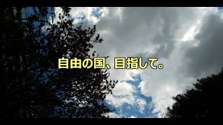 【寝かしつけ】ハックルベリーフィンの冒険《てばなし読書》アメリカ童話 よみきかせ