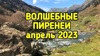 ВОЛШЕБНЫЕ ПИРЕНЕИ, апрель 2023