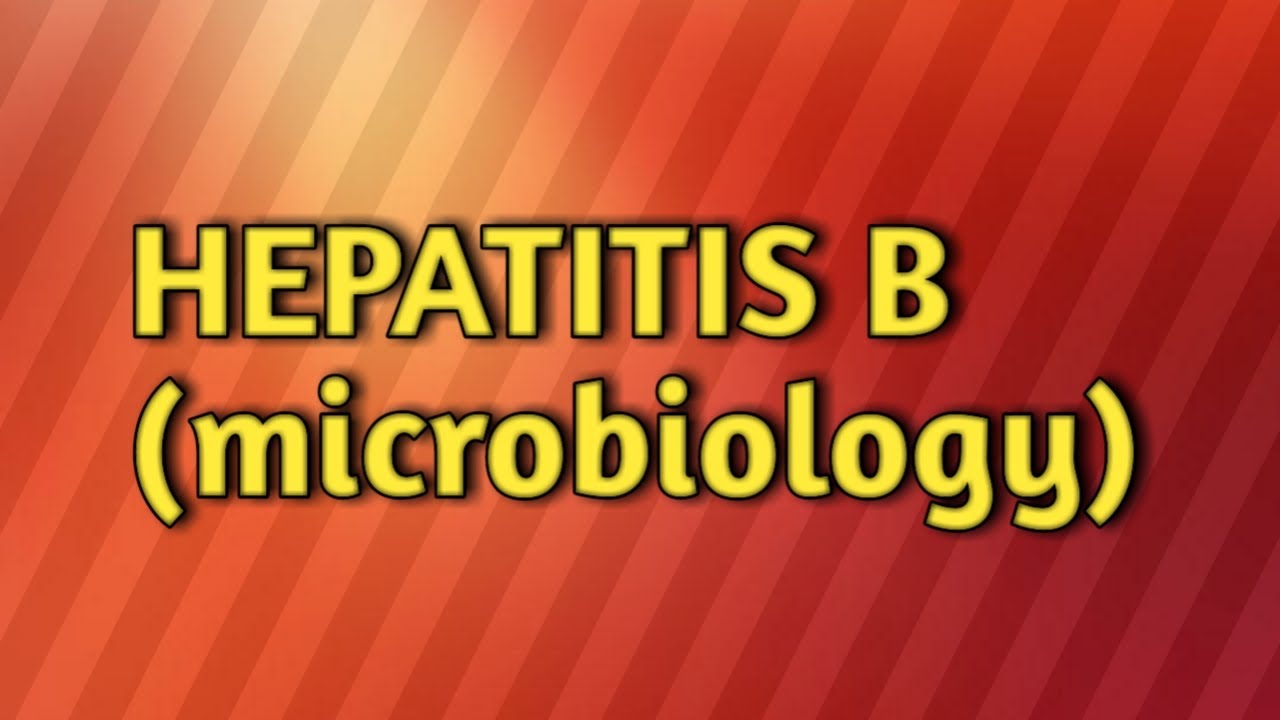 Hepatitis B - Microbiology - YouTube