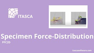 Specimen Force-Distribution in PFC2D