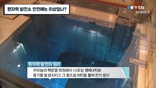 원자력 발전소 안전에는 이상없나? / YTN 사이언스