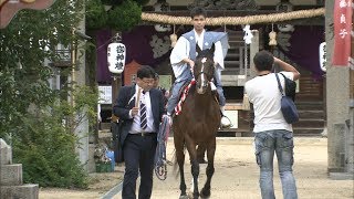 【特集】疾走！競馬神事　浅口市・大浦神社の秋祭り