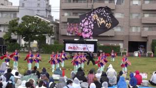 多摩っこ－湘南よさこい祭り２０１６