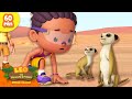 The Meerkats Lost their Home?! 😭😭 | Desert Animals | Leo the Wildlife Ranger | Kids Cartoon