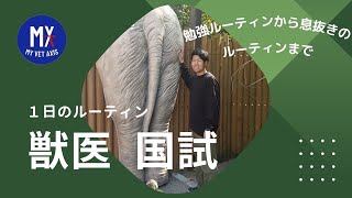 獣医国試の勉強方法とルーティーンを徹底解説