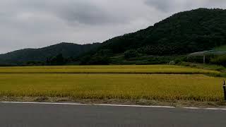 朝日町の田園風景[山形県]