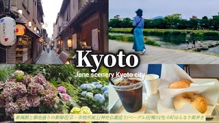 [京都散歩]新風館と御池通り紫陽花/鴨川散歩/先斗町と宮川町歌舞練場/ラビットベーグル/レトロ寺町通り/屋上庭園からの景色/京都人の6月街巡り案内[京都vlog]Kyoto vlog/scenery
