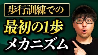 【リハビリ　歩行訓練】最初の1歩が出ない理由と対策を解説します