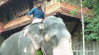 Aanayoottu at Vadakkumnathan Temple, Thrissur, Kerala, India