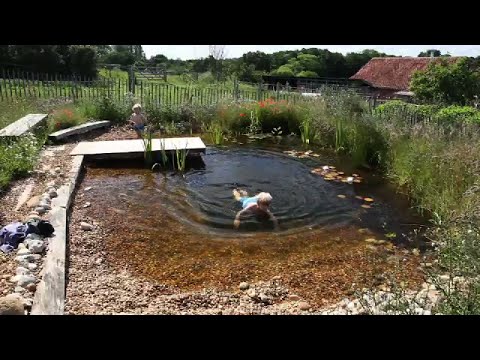 how to build a DIY organic pool:natural pool in 3 minutes how to build a DIY organic pool:natural pool in 3 minutes