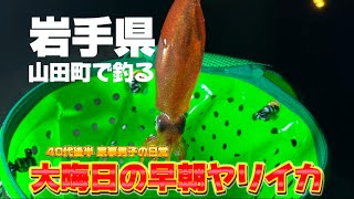 [岩手県 山田町] ヤリイカを求め山田町で釣りをする40代後半