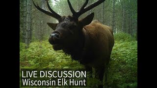 Wisconsin's First Managed Elk Hunt - what you need to know | Wisconsin DNR